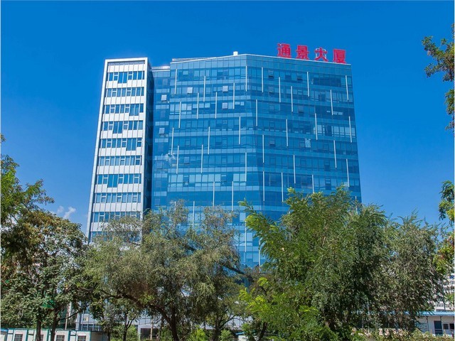 昆明花魔芋种子批发